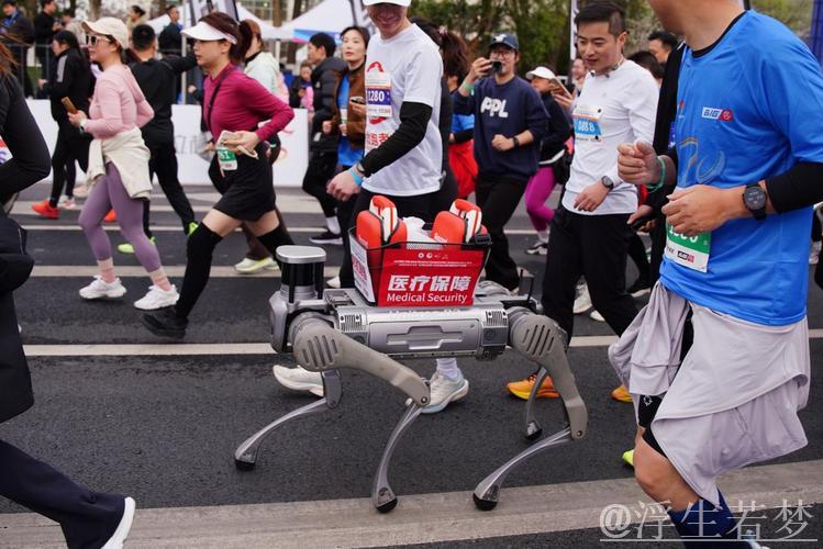 2025嘉兴马拉松鸣枪起跑暨第20届亚洲马拉松锦标赛开启 2025嘉兴马拉松鸣枪起跑暨第20届亚洲马拉松锦标赛开启